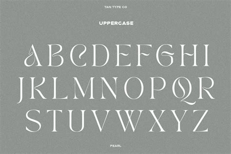 tan font family free download.